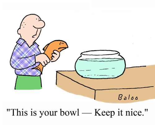 'This is your bowl - keep it nice.'