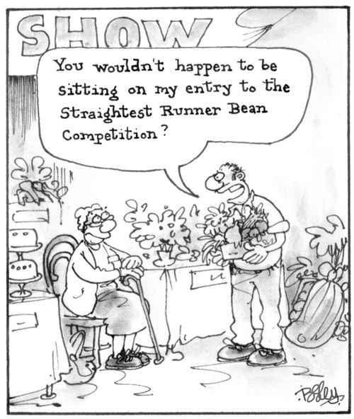 'You wouldn't happen to be sitting on my entry to the straightest runner bean competition?'
