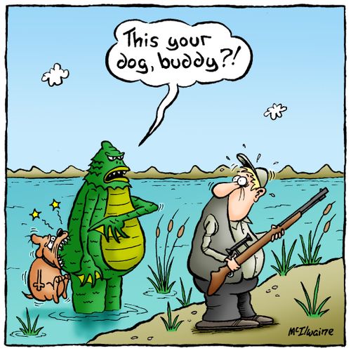 'This your dog, buddy?!'
