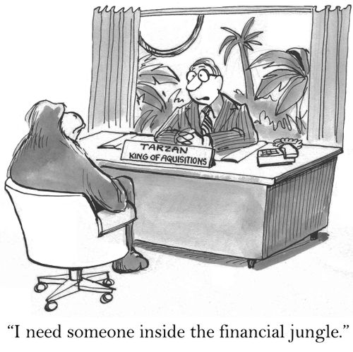 'I need someone inside the financial jungle.'