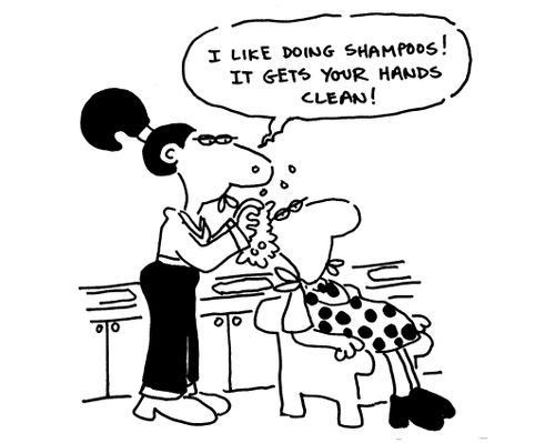 'I like doing shampoos, it gets your hands clean.'