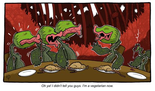 'Oh ya! I didn't tell you guys. I'm a vegetarian now.'