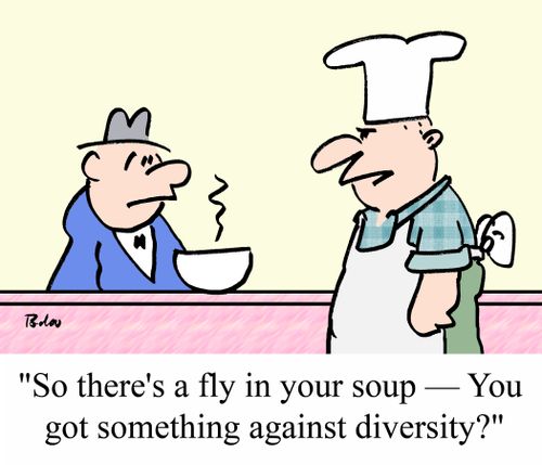'So there's a fly in your soup - You got something against diversity?'