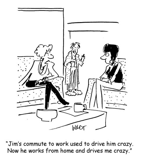 'Jim's commute to work used to drive him crazy. Now he works from home and drives me crazy.'