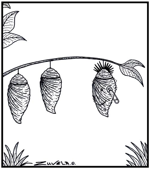 A Punk Rocker Cocoon.