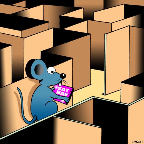 GPS Navigation for Lab Rats.