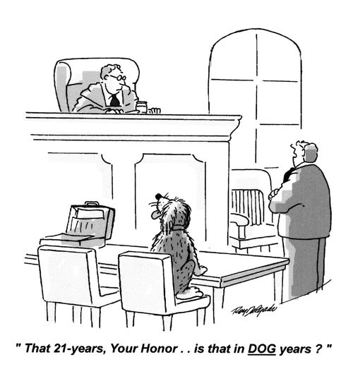 'That 21 years, your Honor... is that in dog years?'