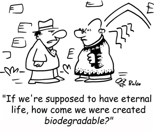 'If we're supposed to have eternal life, how come we were created biodegradable?'