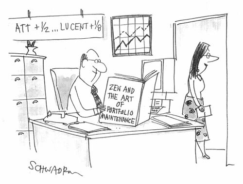 'Zen and the art of portfolio maintenance'