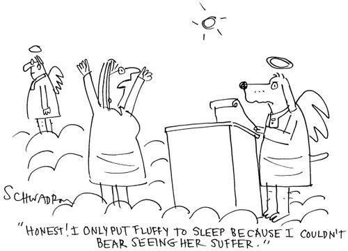 'Honest! I only put Fluffy to sleep because I couldn't bear seeing her suffer.'