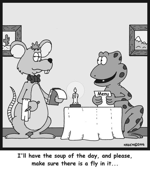 'I'll have the soup of the day, and please, make sure there is a fly in it...'
