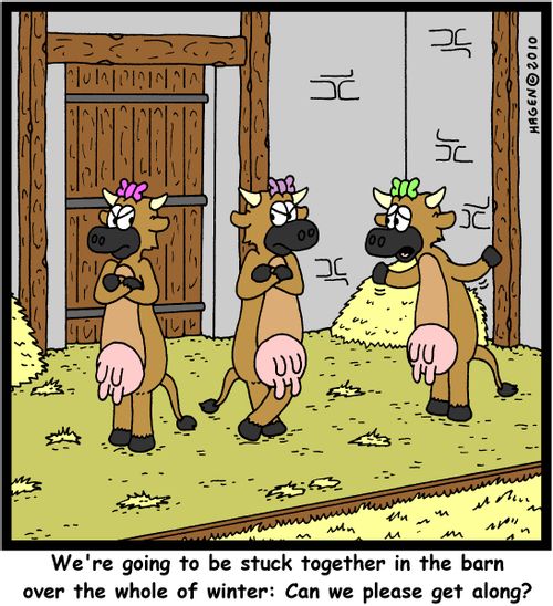 'We're going to be stuck together in the barn over the whole of winter: Can we please get along?'