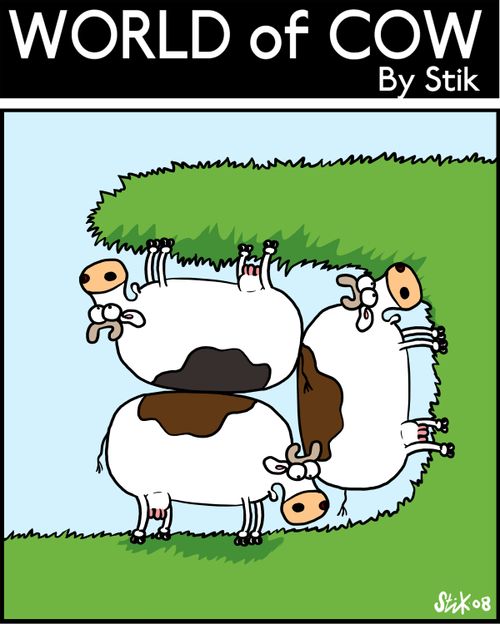 Three cows crammed into a grass shelf.