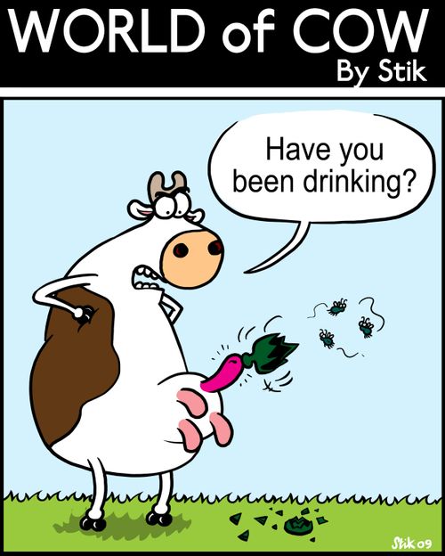 Have you been drinking?