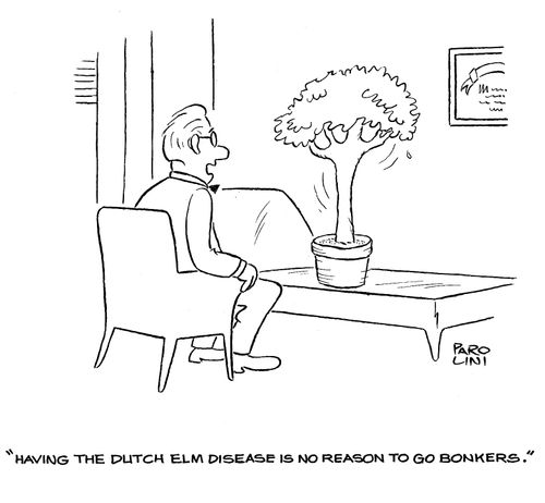 'Having the Dutch elm disease is no reason to go bonkers.'