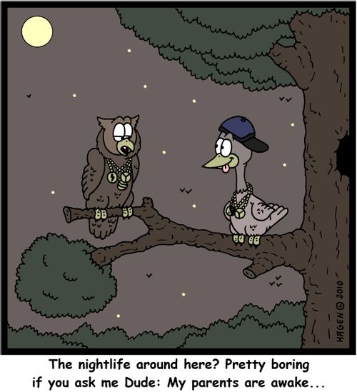 'The nightlife around here? Pretty boring if you ask me Dude: My parents are awake...'