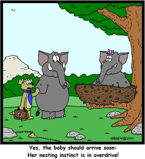 'Yes, the baby should arrive soon: Her nesting instinct is in overdrive!'
