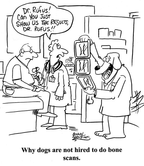 Why dogs are not hired to do bone scans