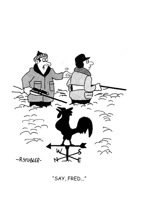 'Say, Fred...'
