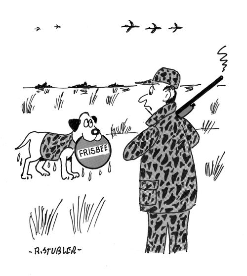 Dog retriving Frisbee