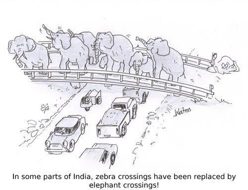In some parts of India, zebra crossings have been replaced by elephant crossings!