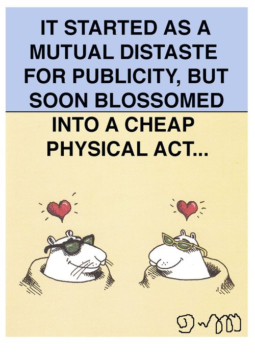 It started as a mutal distate for publicity, but soon blossomed into a cheap physical act...