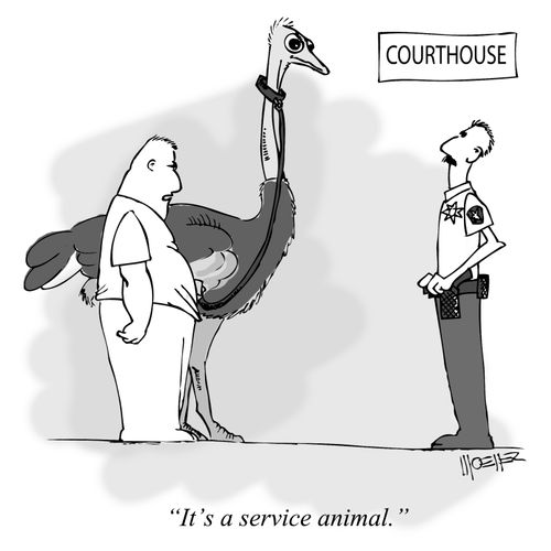 'It's a service animal.'