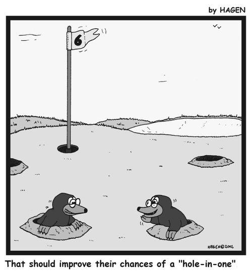 'That should improve their chances of a 'hole-in-one'.'