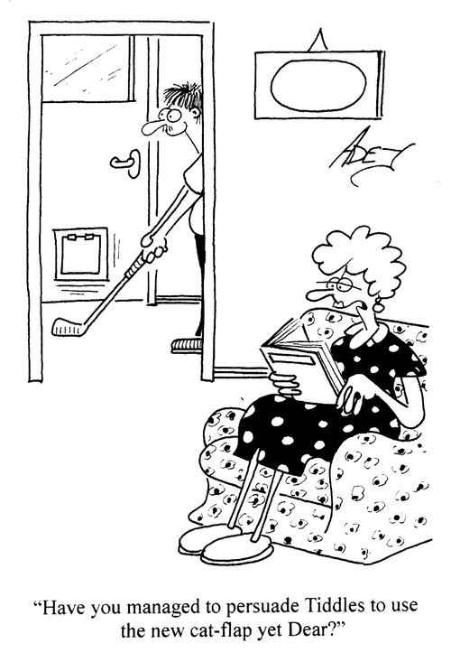 'Have you managed to persuade Tiddles to use the new cat-flap yet Dear?'