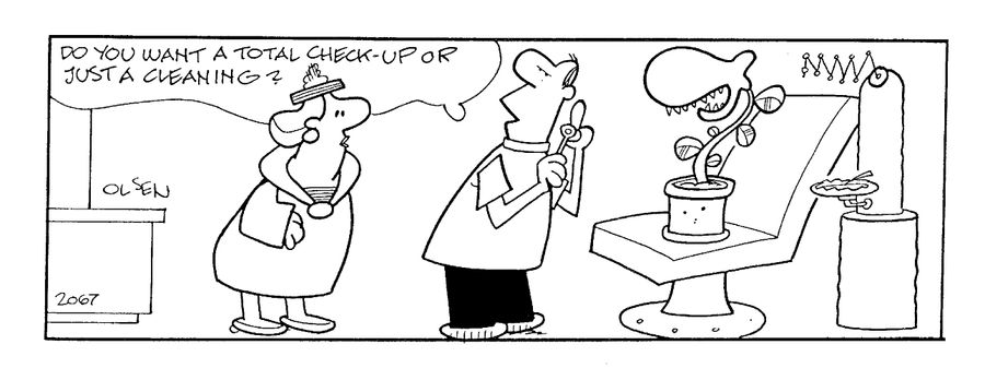 "Do you want a total check-up or just a cleaning?"