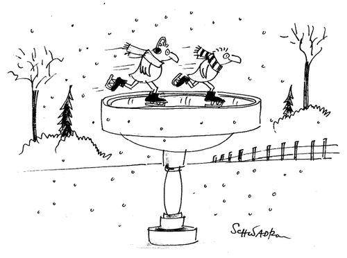 Birds Skating on Frozen Bird Bath