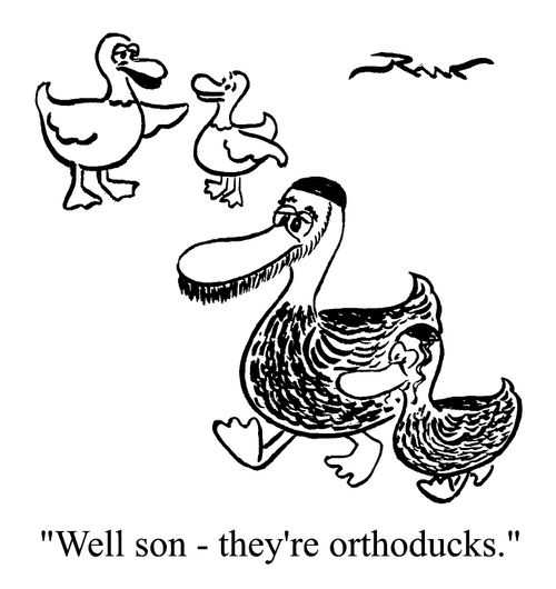 "Well son - they're orthoducks."