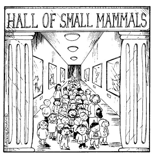 'Hall of small mammals'