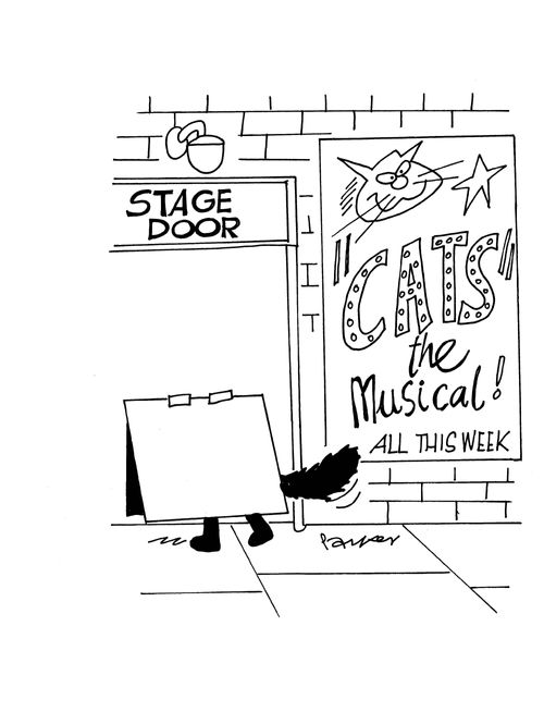 Cats the musical