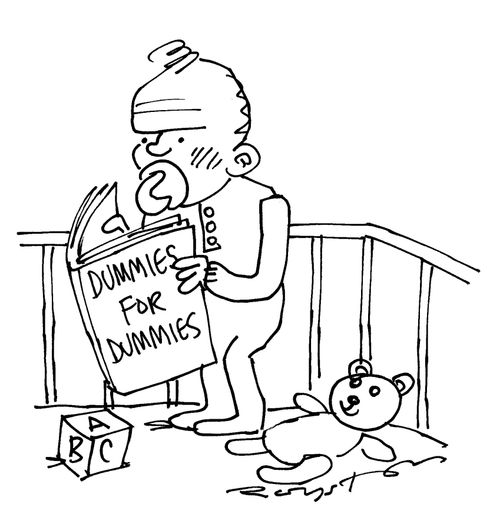 Baby's book is titled: 'Dummies for Dummies.'