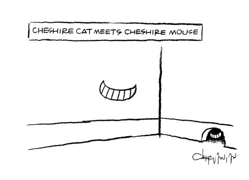 Cheshire cat meets cheshire mouse.