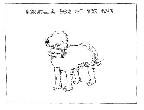 Donny - A dog of the 80's.