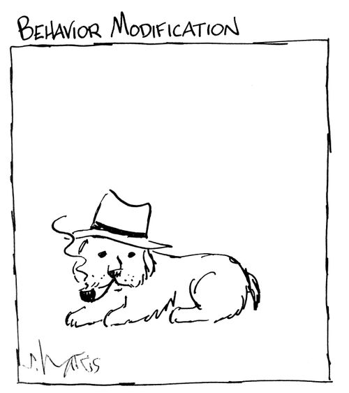 Behavior Modification.