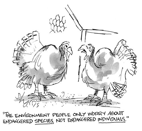 'The environment people only worry about endangered species, not endangered individuals.'