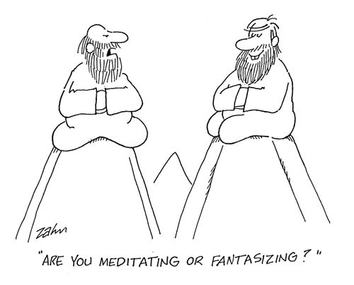 'Are you meditating or fantasizing?'