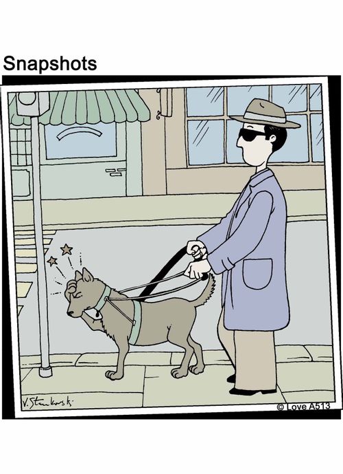Blind dog.