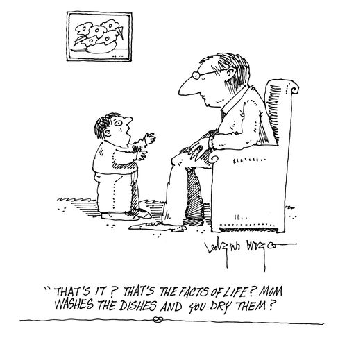'That's it? The facts of life? Mom washes the dishes and you dry them?'