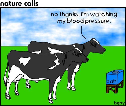 "No thanks, I'm watching my blood pressure."