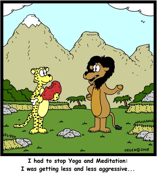 'I had to stop Yoga and Meditation: I was getting less and less aggressive...'