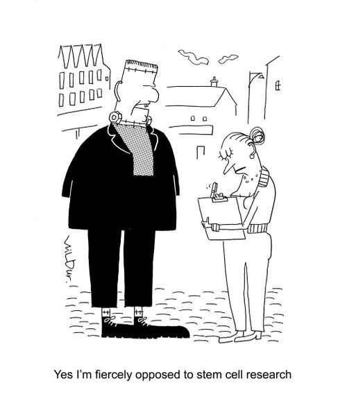 'Yes, I'm fiercely opposed to stem cell research.'