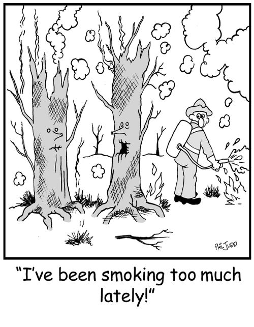 'I've been smoking too much lately!'