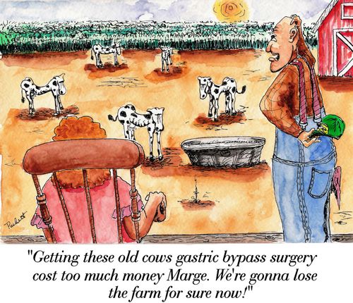 'Getting these old cows gastric bypass surgery cost too much money Marge.We're gonna lose the farm for sure now!'