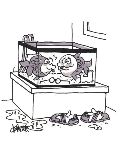 A kid got too close to a fish tank, fish have eaten him.