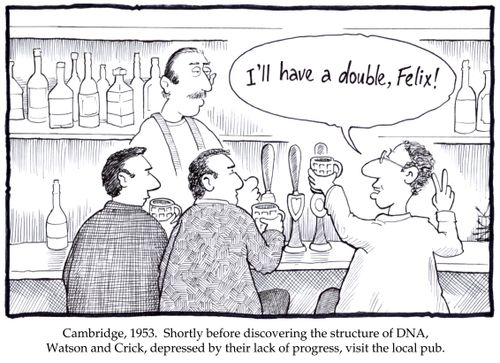 Cambridge, 1953. Shortly before discovering the structure of DNA, Watson and Crick, depressed by their lack of progress, visit the local pub.