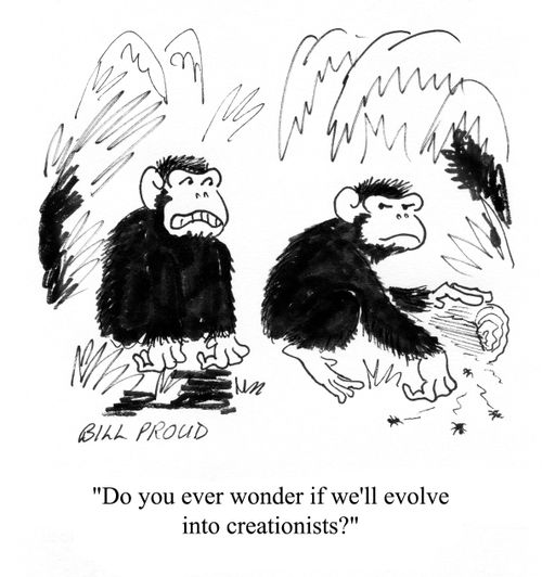 'Do you ever wonder if we'll evolve into creationists?'
